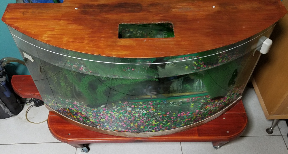 IMG: Acquarium stand - top view